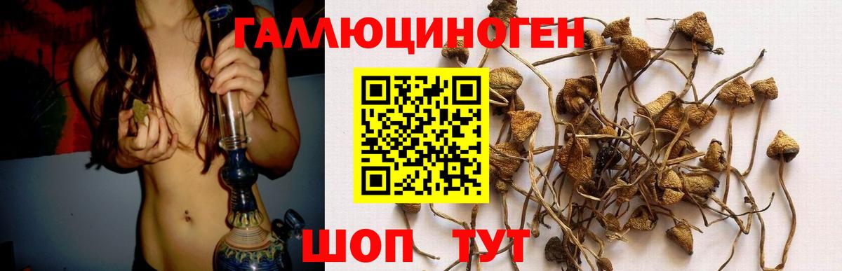 Псилоцибиновые грибы ЛСД Ефремов